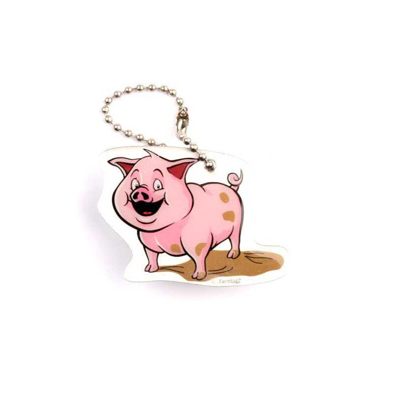 FarmtagZ - Piggy