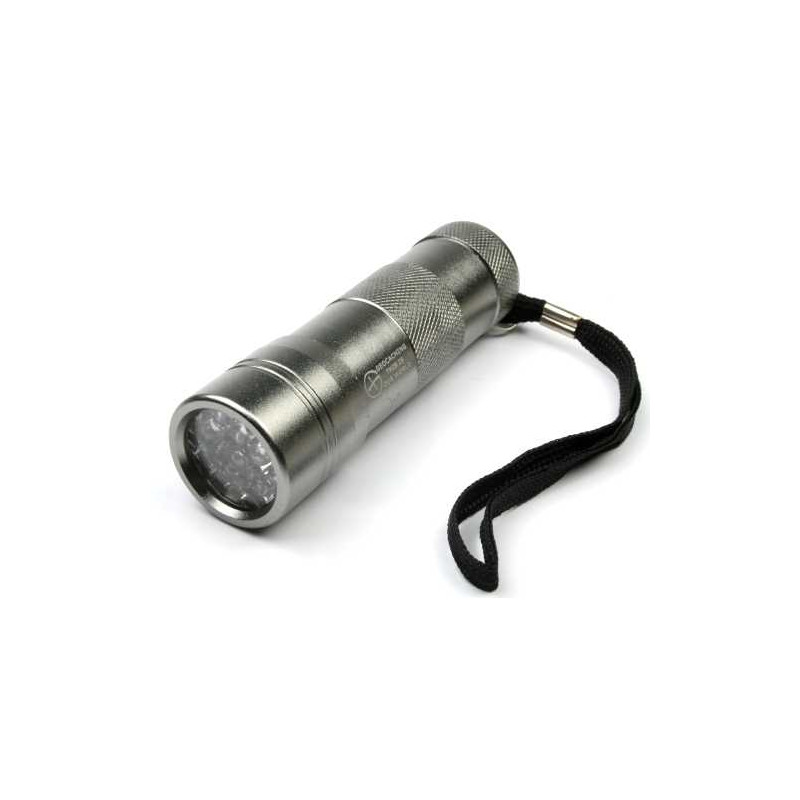 UV flashlight 12 LED silver, incl batteries