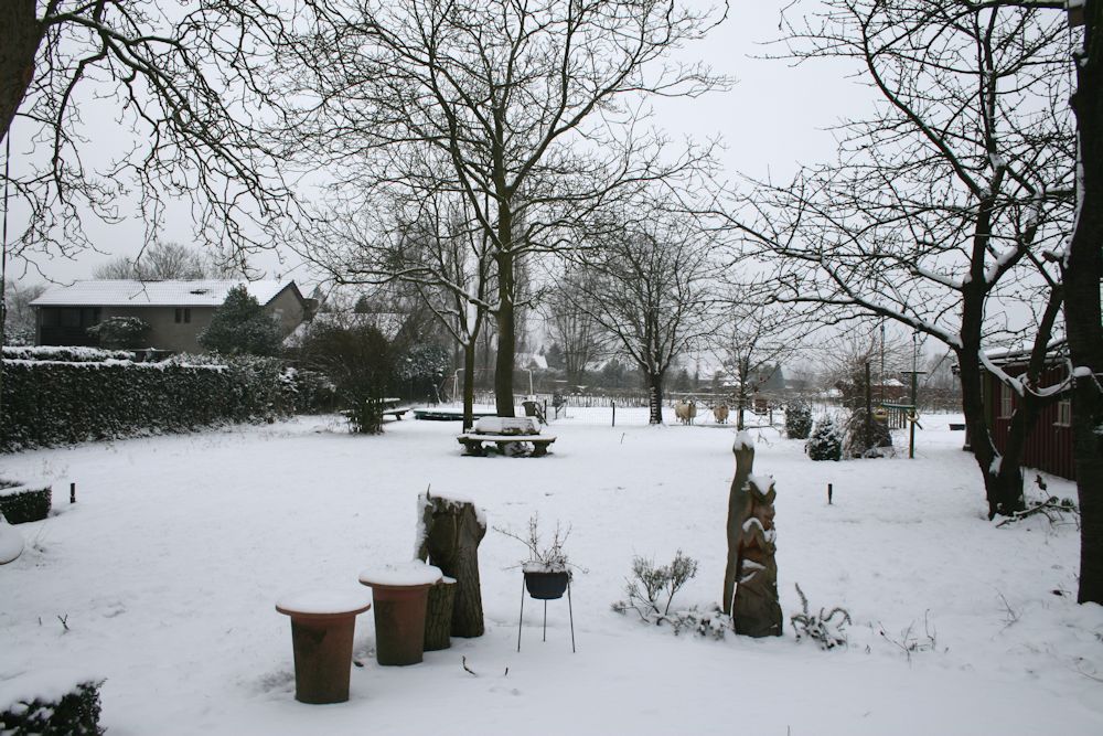 Winter in the Netherlands, 17 januari 2013